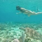 Gili island Snorkeling Half Day Trip departure from Gili Trawangan - What You Can Expect in Terms of Comfort and Cost