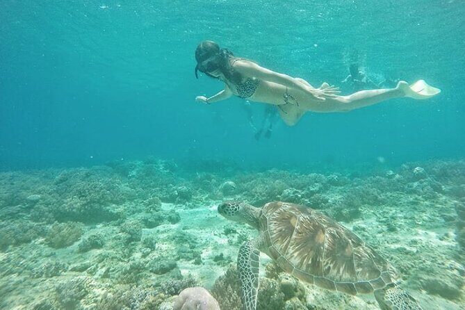 Gili island Snorkeling Half Day Trip departure from Gili Trawangan - What You Can Expect in Terms of Comfort and Cost