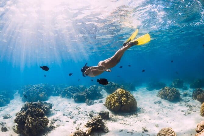 Gili Trawangan Snorkeling with Turtles & Underwater Statue - Who Will Love This Tour?