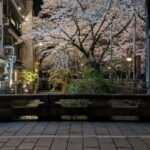 Gion Night Walk:Discover Geisha Culture in Kyoto - An In-Depth Look at the Gion Night Walk Experience