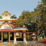 Gir National Park: Kankai Temple Safari with Hotel Pickup - Final Thoughts: Is It Worth It?