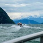 Glacier Point Wilderness Safari - An In-Depth Look at the Glacier Point Wilderness Safari