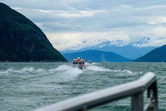Glacier Point Wilderness Safari - An In-Depth Look at the Glacier Point Wilderness Safari