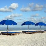 Glass Bottom Kayak Mangrove & Sandbar Adventure in St. Pete Beach - A Detailed Look at the Experience