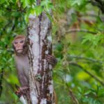 Glass Bottom Kayak Tours of Silver Springs - Who Should Consider This Tour?