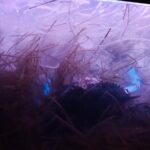 Glowing Kayak Tour Port Aransas - Lighthouse Lakes - Who Should Consider This Tour?