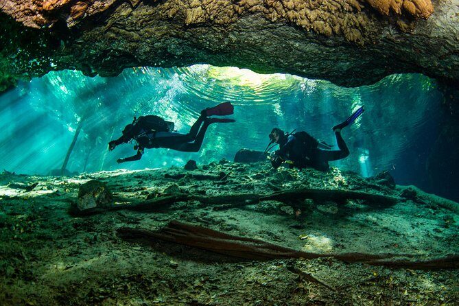 Go for 2 dives in cenote Dos ojos for certified divers - What Sets This Tour Apart