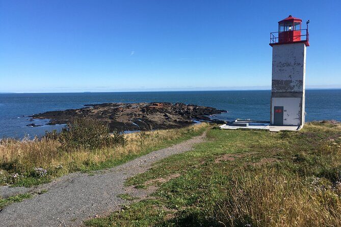 Go Fundy Tours - An In-Depth Look at the Experience