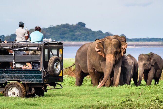 GO WILD! Double Safari Day Trip (Yala & Udawalawe) - Private & All Inclusive - FAQ