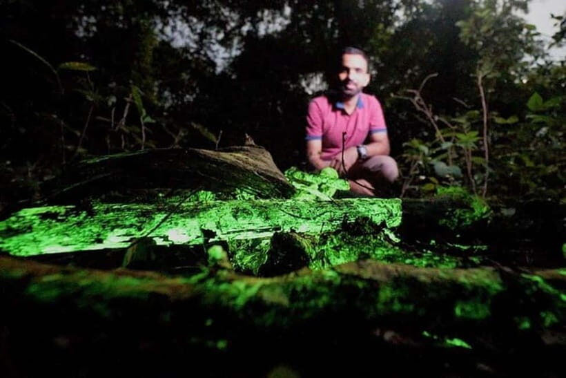 Goa: Bioluminescent Forest Night Trail with Guide - A Deep Dive into the Experience