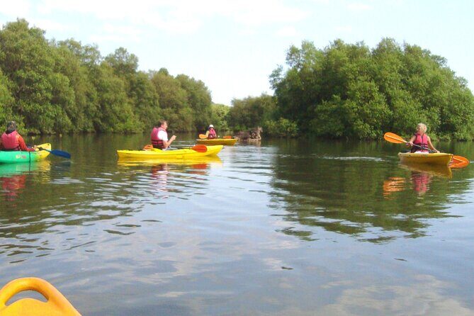 Goa Kayaking Spike's Salonia Backwaters Kayaking Experience - Final Thoughts