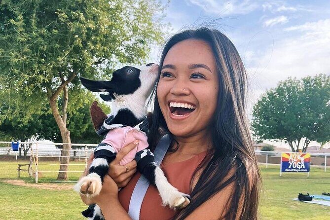 Goat and Alpaca Sound Bath - Gilbert Arizona - The Authentic Appeal