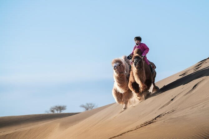 Gobi tour Mongolia 7 Days - Why This Tour Offers Great Value