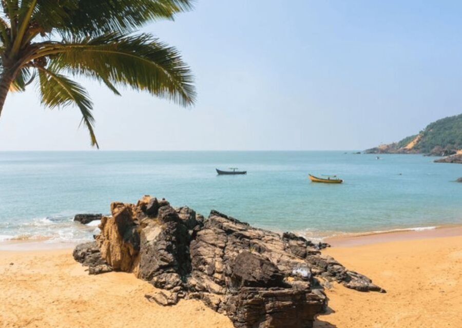 Gokarna Nature Walk (3 Hours Guided Trekking Experience) - A Detailed Look at the Gokarna Nature Walk