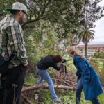 Golden Gate Park Wildlife Walking Tour - Why This Tour Offers Good Value