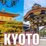 Golden Pavilion, Nijo Castle, & Nishiki Market Half day tour - Why This Tour Is Valuable for Travelers