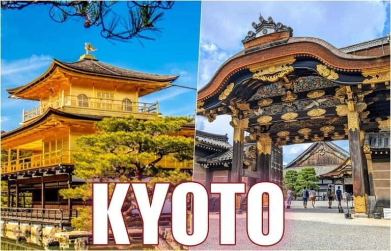 Golden Pavilion, Nijo Castle, & Nishiki Market Half day tour - Why This Tour Is Valuable for Travelers