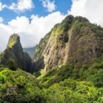 Golden Pineapples & Hidden Gems: A Private Upcountry Tour - The Practicalities: What You Need to Know