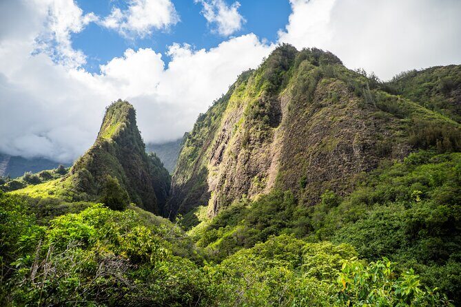 Golden Pineapples & Hidden Gems: A Private Upcountry Tour - The Practicalities: What You Need to Know