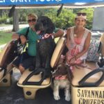 Golf Cart Tours of Bonaventure Cemetery Savannah Georgia - FAQ