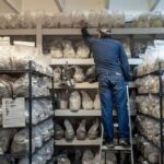 Gourmet Mushroom Farm Tour in Tennessee - Why This Experience Offers Great Value