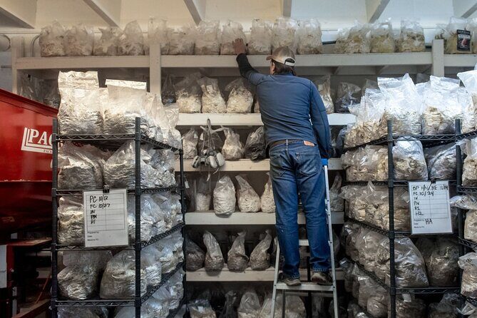 Gourmet Mushroom Farm Tour in Tennessee