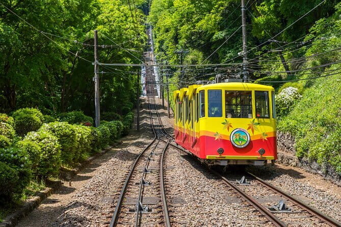 Gourmet Tour in Mountain Takao, Tokyo - Authentic Experiences and Real-World Feedback