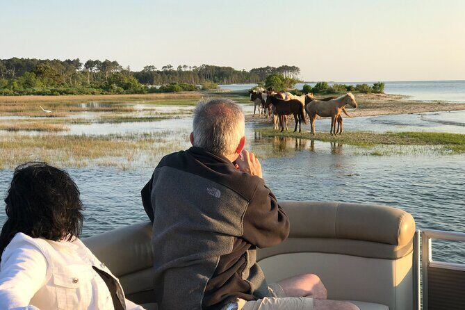 Grand Boat Tour around Chincoteague and Assateague Islands - Who Should Consider This Tour?