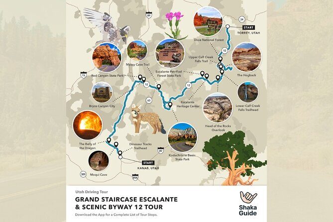 Grand Staircase and Scenic Byway 12 Self-Guided Audio Tour - Why This Tour Works