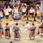 Grand Sumo Tournament Tokyo - Osaka - Nagoya - The Sum Up: Who Should Consider This Tour?