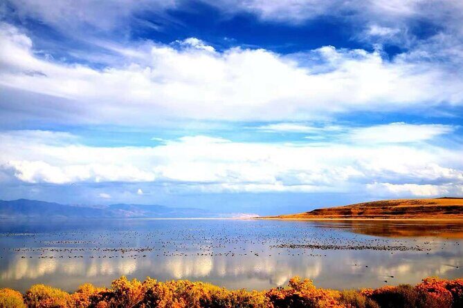 Grand Teton, Yellowstone, and Glacier National Parks 8-Day Tour - Who Should Consider This Tour?