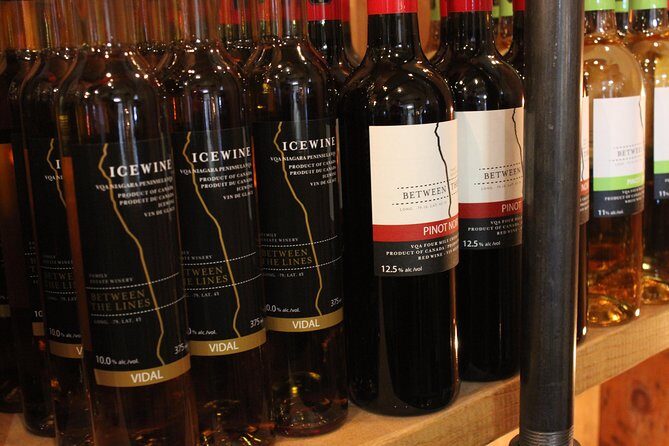 Grape to Glass Wine Experience - The Sum Up: Is This Tour Right for You?