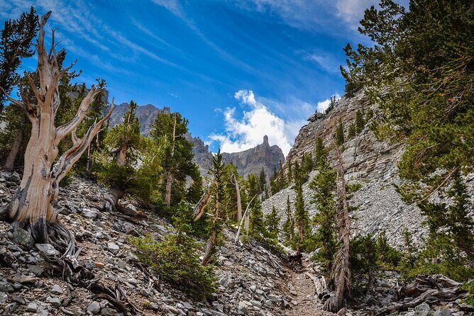 Great Basin National Park Self-Guided Audio Tour - Final Thoughts