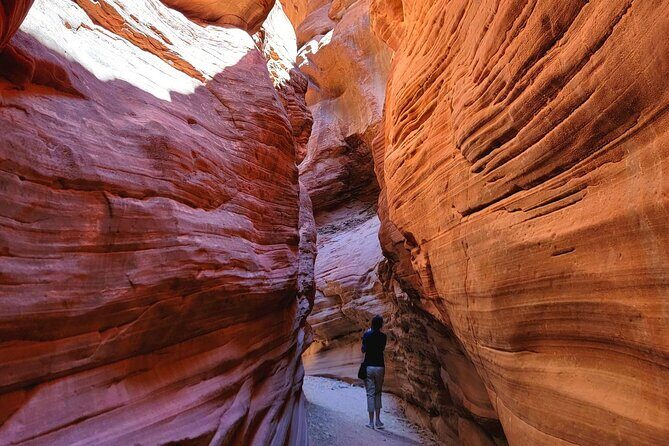 Great Chamber/Peekaboo Slot Canyon UTV Tour 4hrs - Why this Tour Offers Great Value