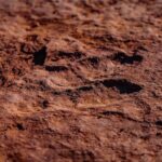 Greater Zion: Extreme Adrenaline UTV Tour in Sand Hollow - Why This Tour Stands Out