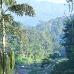 Green Magic Day Tour to Munnar - Final Thoughts