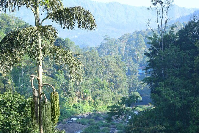 Green Magic Day Tour to Munnar - Final Thoughts