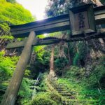 Green Tea Fields, Serene Beautiful Nature of Kyoto: Private Tour - The Sum Up