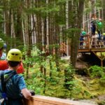 Grizzly Falls Ziplining Expedition - A Deep Dive into the Skagway Ziplining Experience