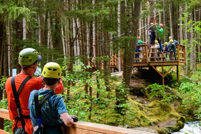 Grizzly Falls Ziplining Expedition - A Deep Dive into the Skagway Ziplining Experience