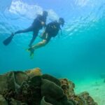 [GROUP] SCUBA DIVING For Beginners in Phu Quoc Island (TRY DIVE) - Transportation & Logistics