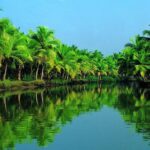 Group Shore Excursion from Cochin Port - Who Will Love This Tour?