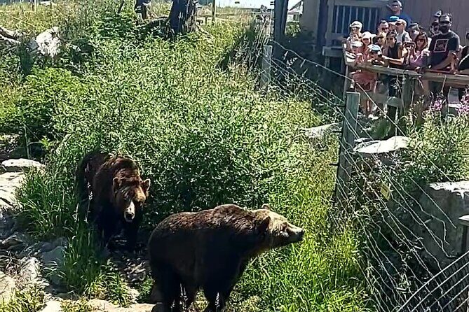 Grouse Hike and Capilano Bridge - FAQ