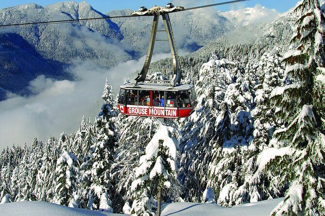 Grouse Mountain Admission Ticket - A Detailed Look at the Grouse Mountain Experience