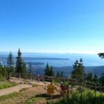 Grouse Mtn Stanley Park Hatchery Cleveland Dam Lynn Canyon Tour - Detailed Breakdown of the Itinerary