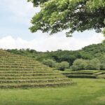 Guachimontones - Archaeological ruins in Guadalajara - Who Should Consider This Tour?
