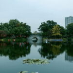 Guangzhou city highlights tour with dimsum lunch - Exploring Guangzhou: A City of Contrasts