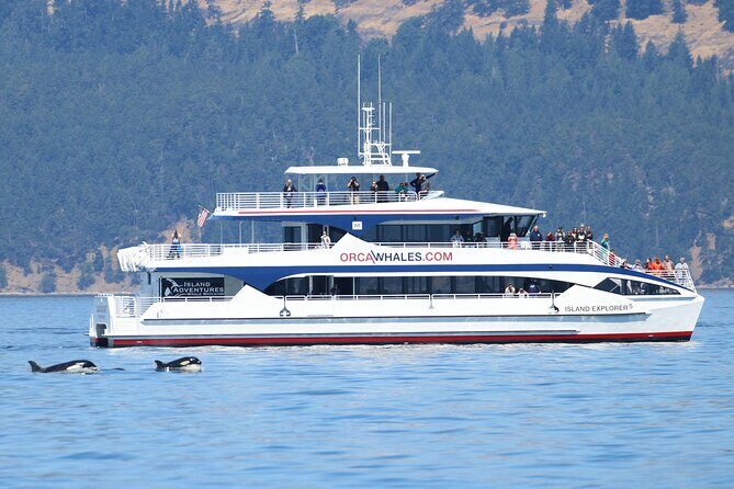 Guaranteed Whale Watch Tour from Anacortes - Who Will Benefit Most?