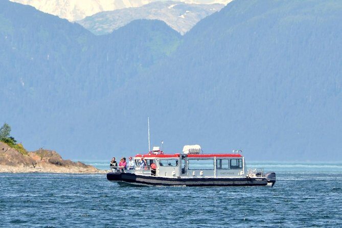 Guaranteed Whale Watching Adventure - Who Should Consider This Tour?