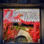 Gubei Water Town and Simatai Great Wall Private Day Tour - Final Thoughts